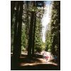 Yosemite0072.jpg
